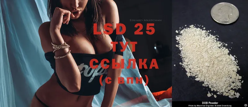 купить наркотики сайты  Каменка  mega сайт  LSD-25 экстази кислота 