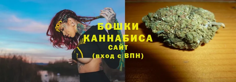 Каннабис OG Kush  Каменка 